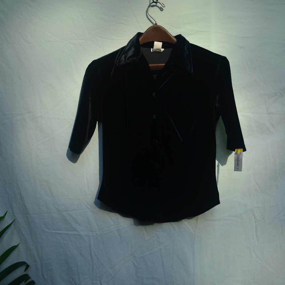 Vintage velvet top